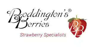 Boddingtons Berries